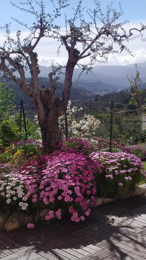 Studio Le Romantique A 20 Kms De Nice Bendejun Luaran gambar